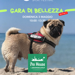 Gara di Bellezza Canina